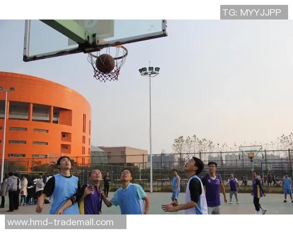 深度对话杨娜探索篮球人生的梦想与挑战之路